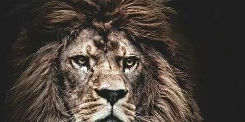 KingChris1183's profile banner image
