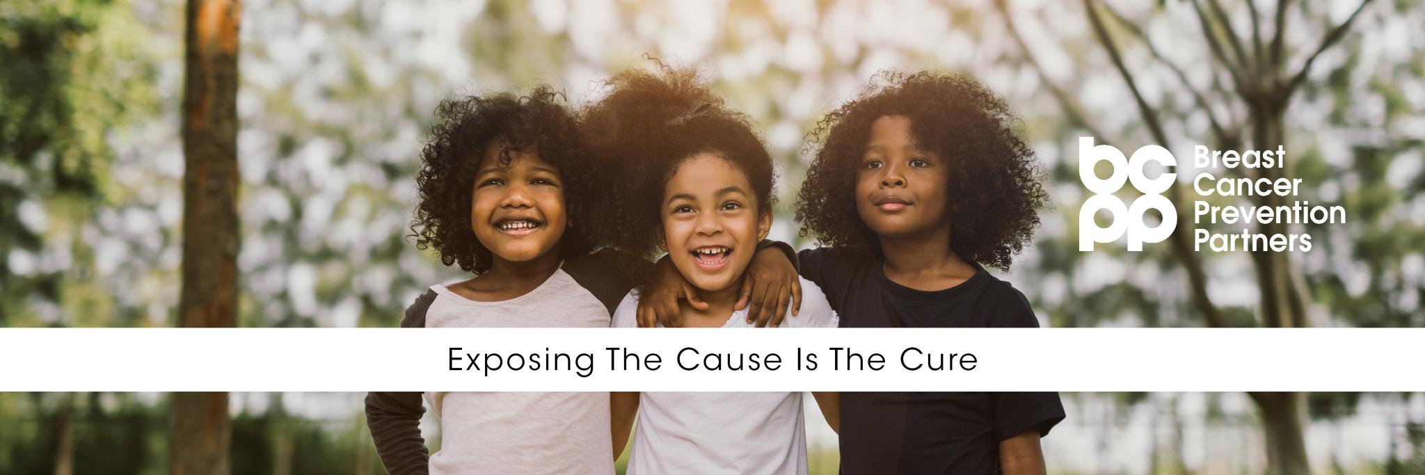 Breast Cancer Prevention Partners BCPP banner