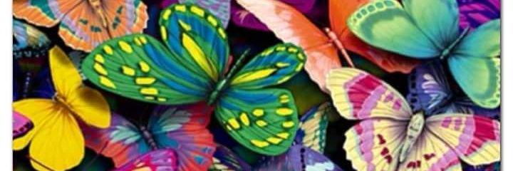 nihal_varl's profile banner image