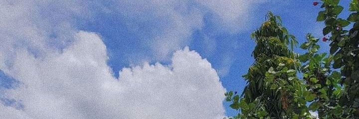 Ronak_Chow's profile banner image
