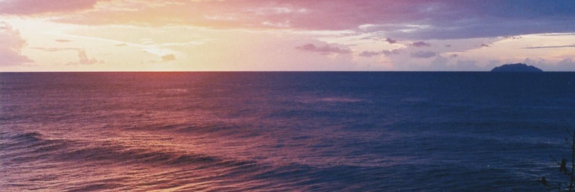 Peter Strickland banner