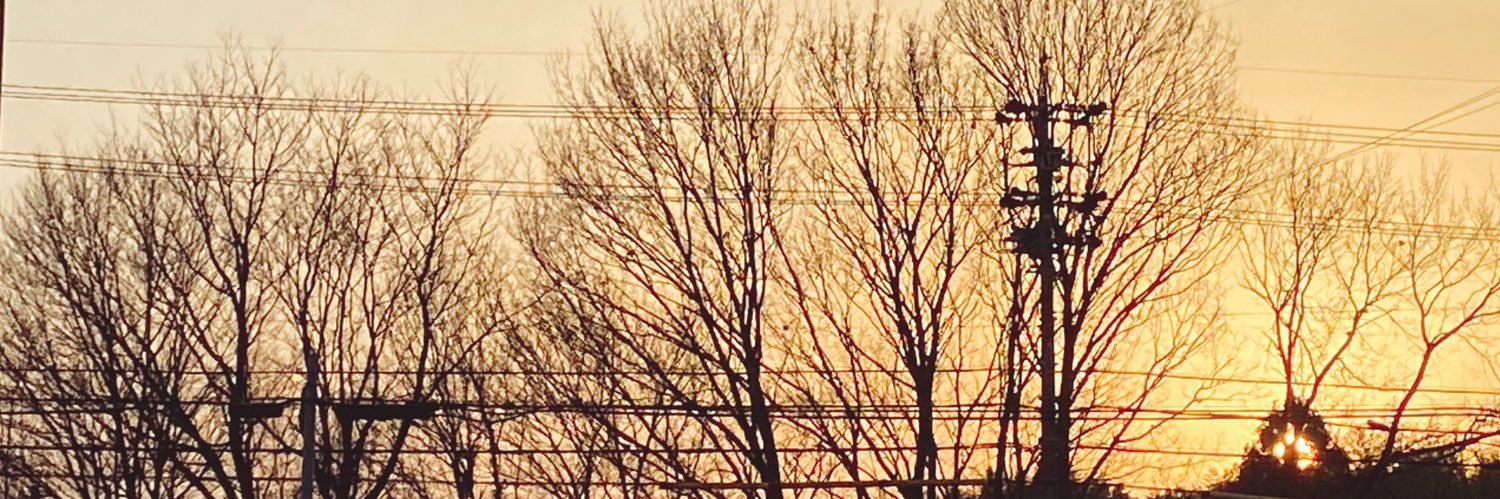 shupei704's profile banner image