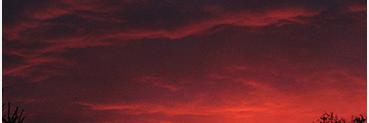 Mintedroyalty's profile banner image