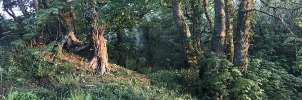 danryan_nature Profile Banner