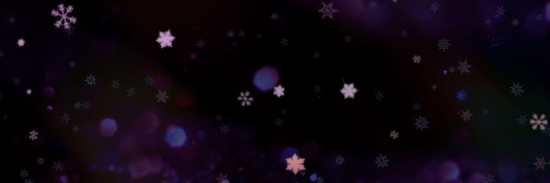 ESBR_Vincent's profile banner image