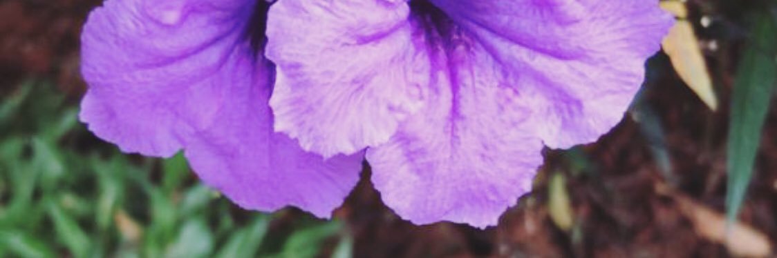 sabilasabrinaaa's profile banner image