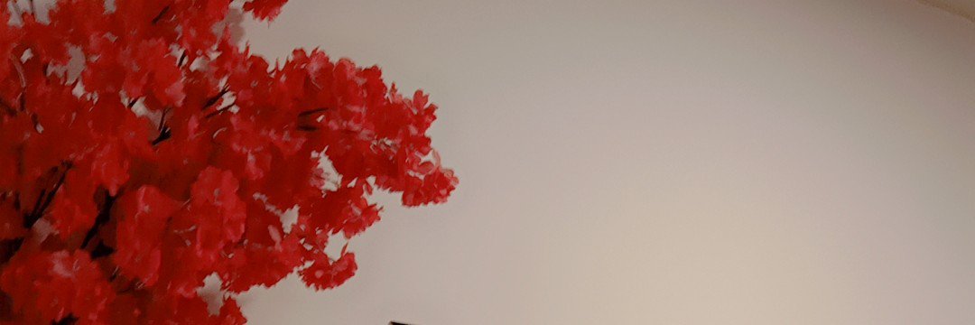 ghada_riyad's profile banner image