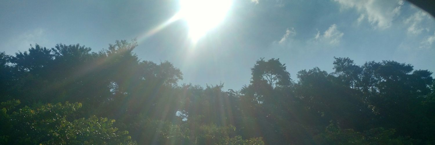 elidacez's profile banner image