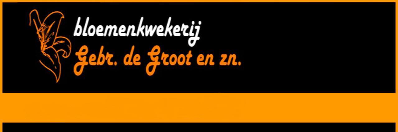 gebrdegroot's profile banner image