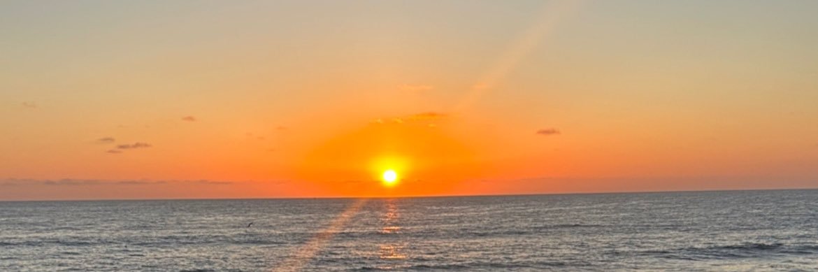 laurenxcook's profile banner image