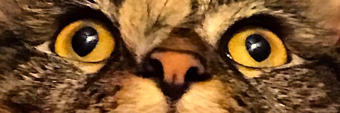 deerjerk's profile banner image