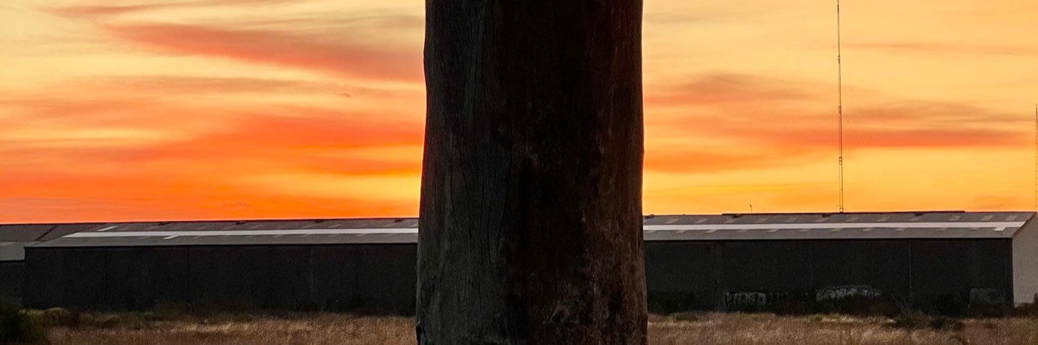 Thinklike_Monk's profile banner image