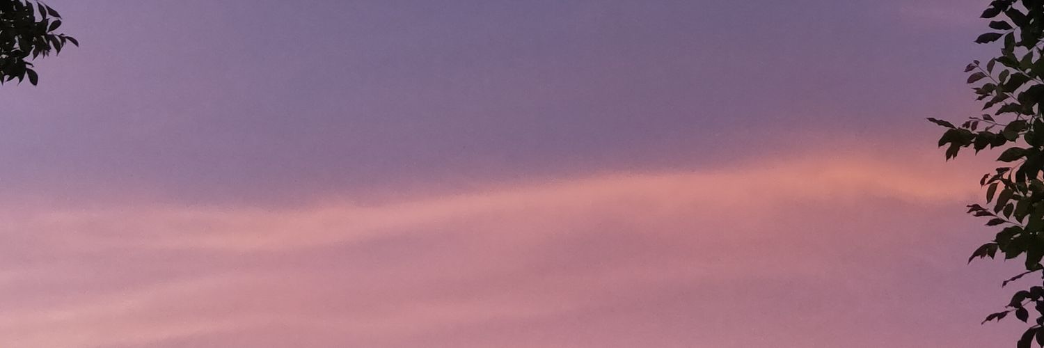 MErudite's profile banner image