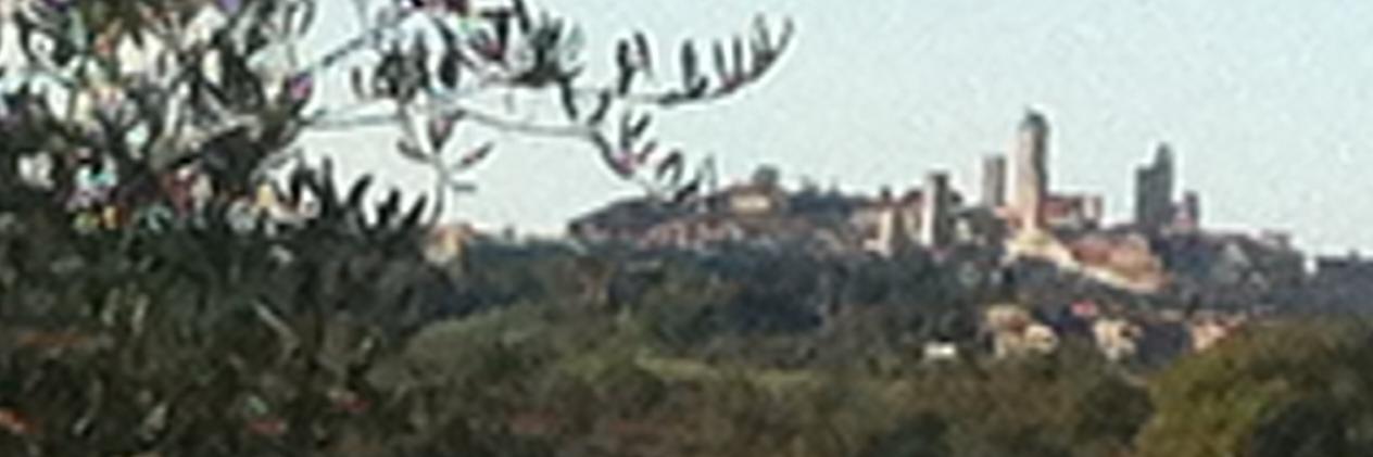 zafferano's profile banner image