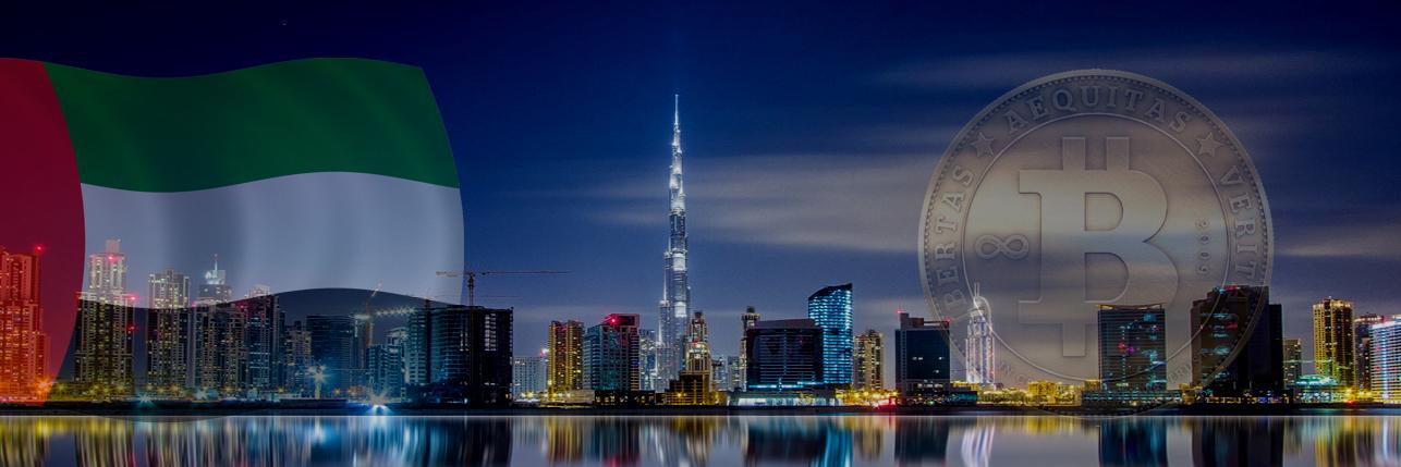 MacleodCapital's profile banner image