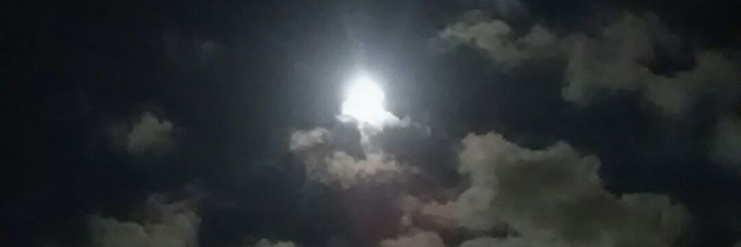 幸せであるように banner