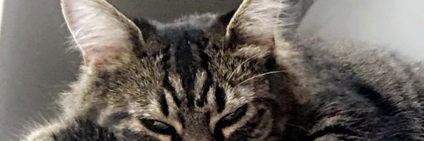 _morgmay_'s profile banner image