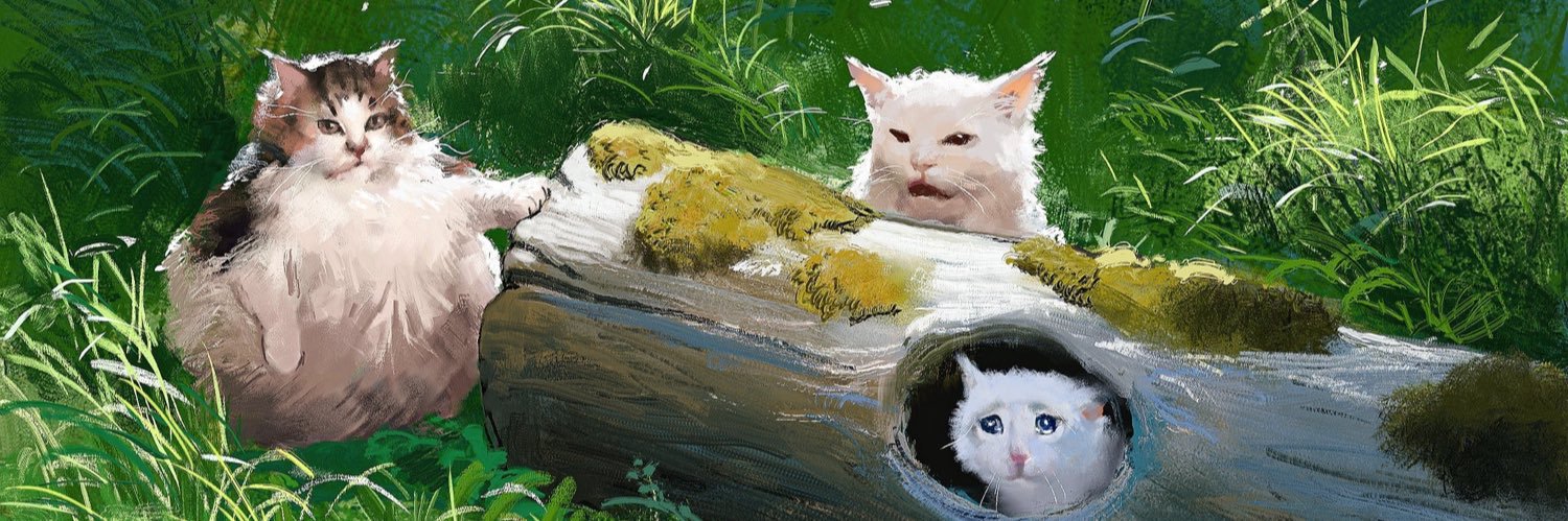 jinhuangse's profile banner image