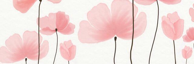 Carolina0live's profile banner image