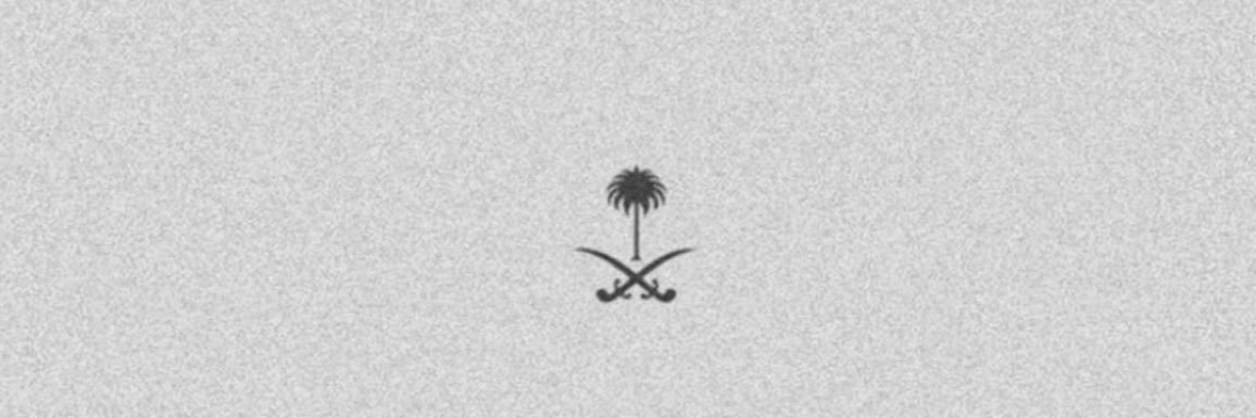 HaneenMA4's profile banner image