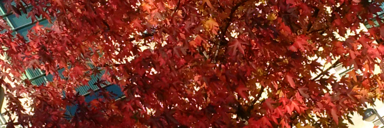 dan_weldon's profile banner image