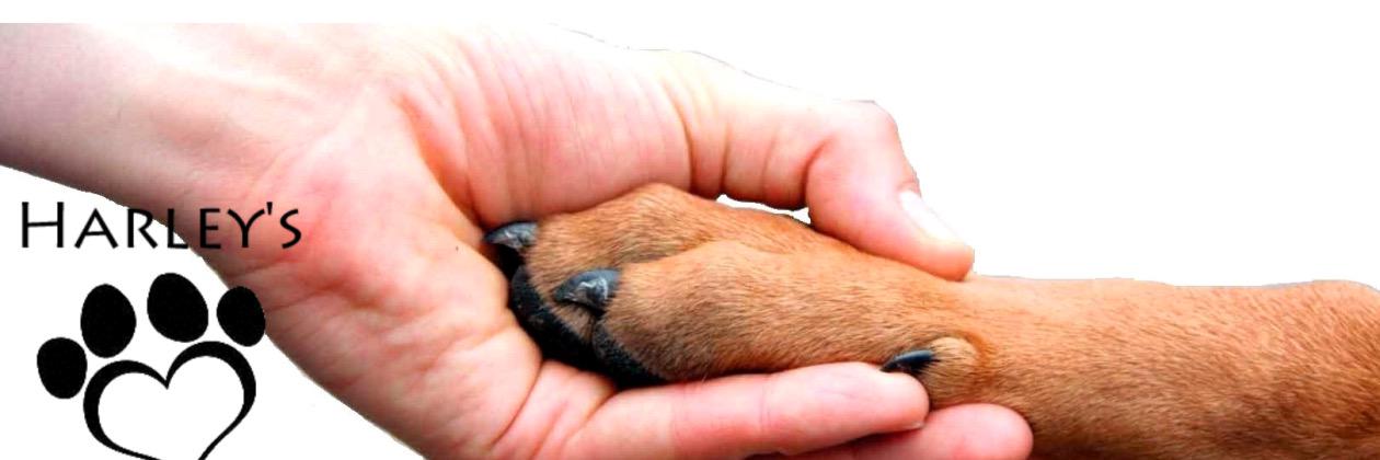 harleys hounds banner