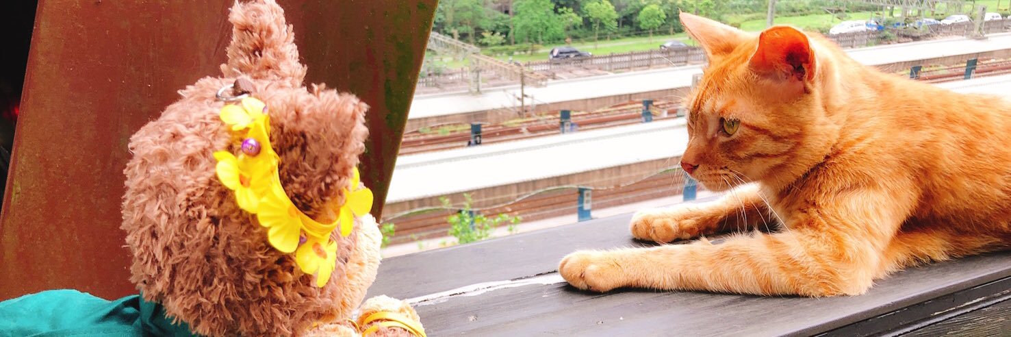 あやんぬ banner
