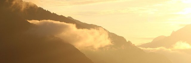 OpsTavo's profile banner image