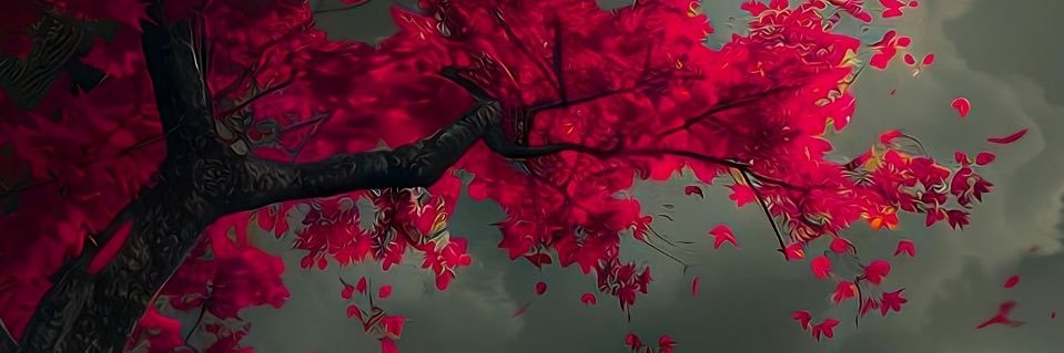 Nikolas banner