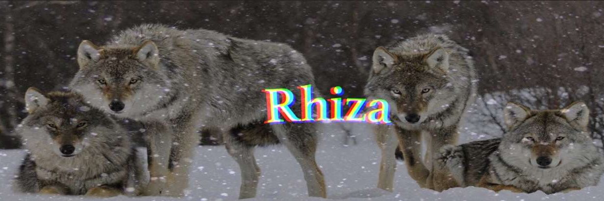 OhhRhiza's profile banner image