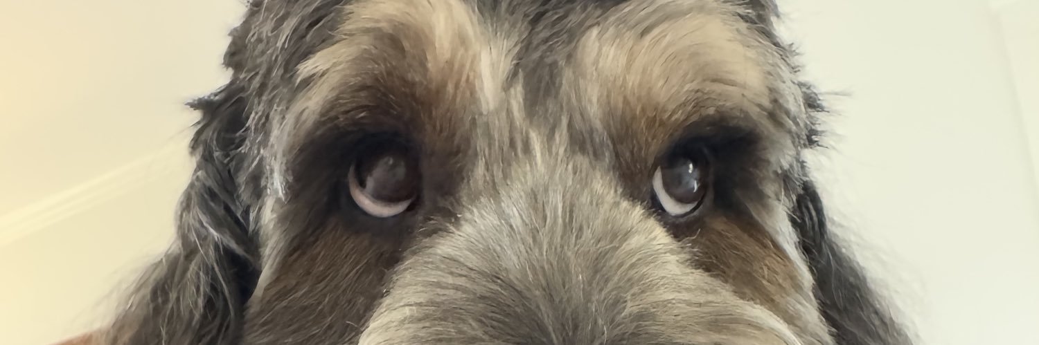 hunter peratt banner
