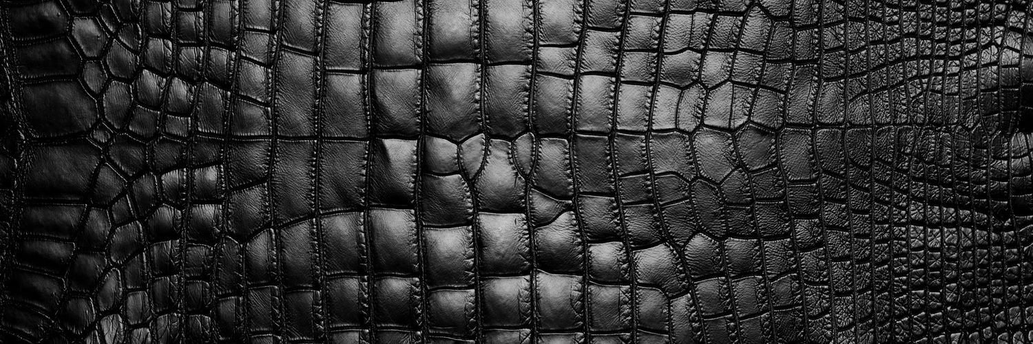55ea4349a8a5467's profile banner image