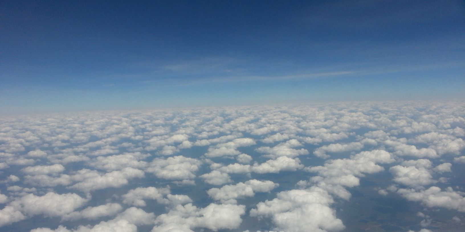 tiarrazoey's profile banner image