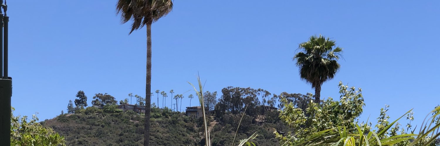 Tony Baloney banner