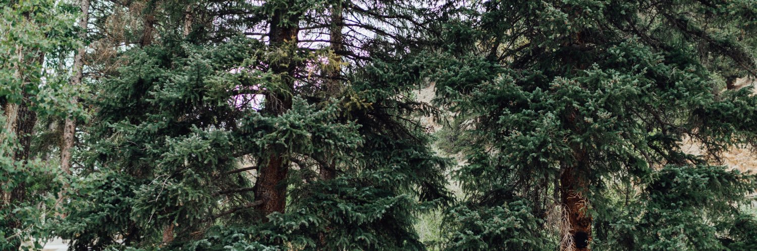 kendallbybee's profile banner image