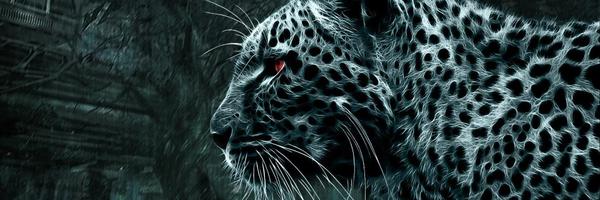 ReadwithLS Profile Banner