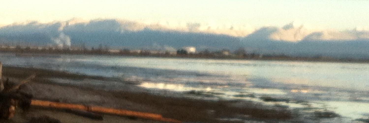 dhanamatthews's profile banner image
