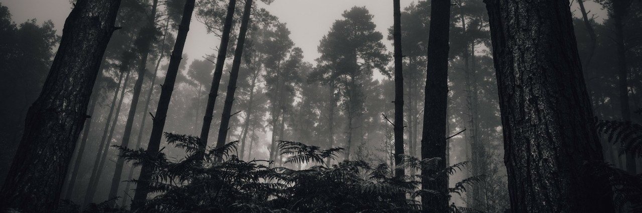 Aliegria_Off's profile banner image