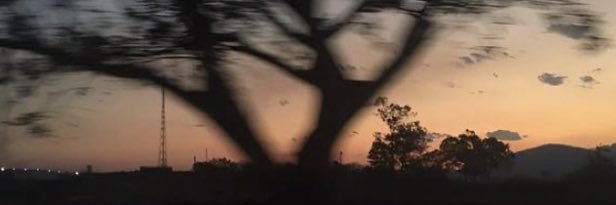 𝓀𝑒𝓃𝒾𝒶 ᥫ᭡ banner