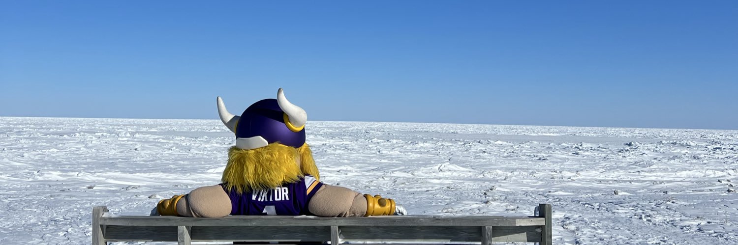 ViktorTheViking's profile banner image