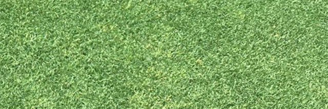 CoachBanga's profile banner image