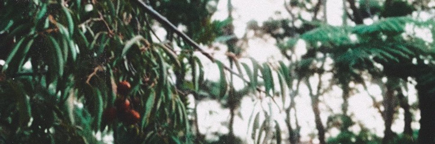Giulia ☀️ banner