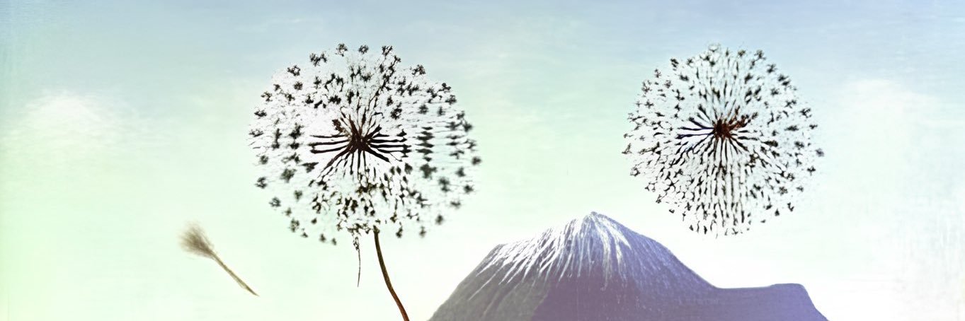 ygmsolak's profile banner image