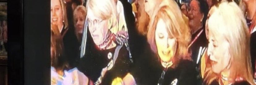 peginturkey2's profile banner image