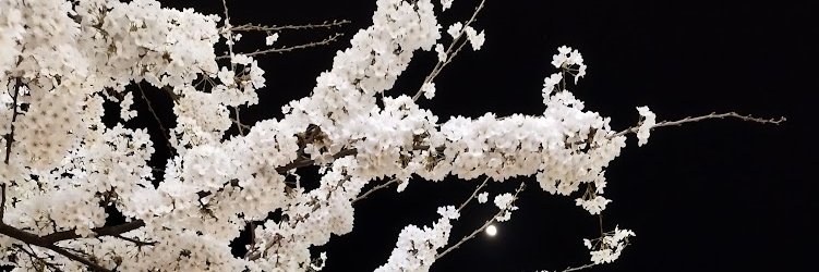 Slake_11's profile banner image