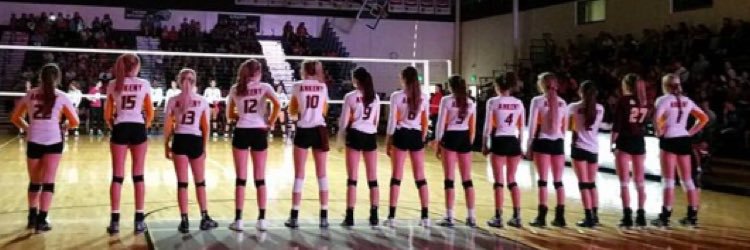 Isabelle Vacek banner