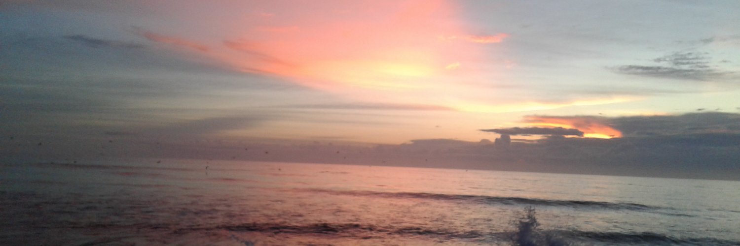 NCgeorgia's profile banner image