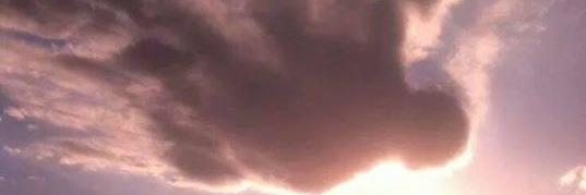 ProphetFitzroy's profile banner image