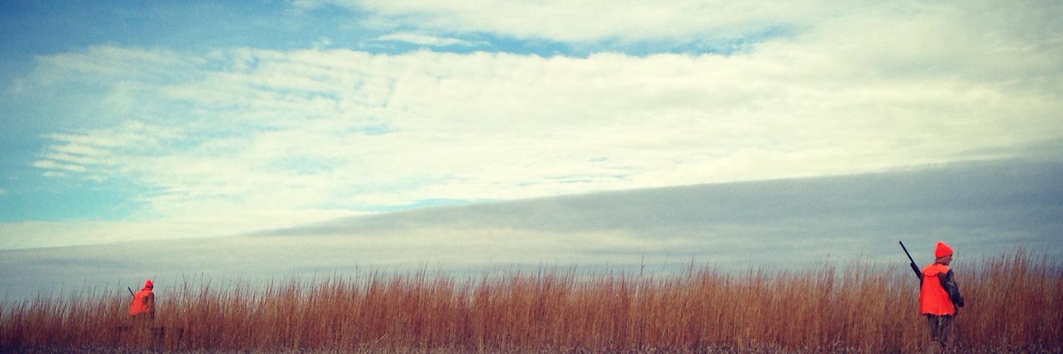 kyndrabrock's profile banner image