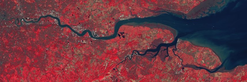 Austin Capsey banner